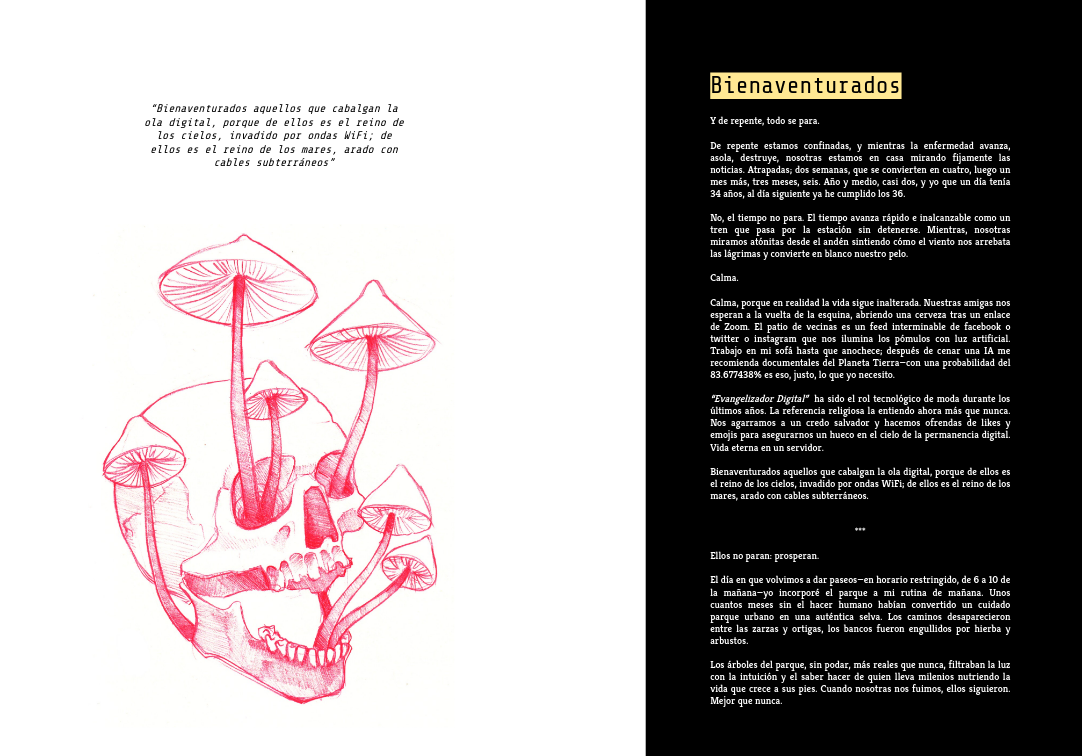 Mycorrhizae, Bienaventurados